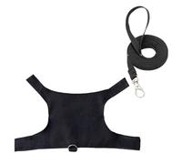 Ensemble de laisse pratique, fiabilité, lézards mignons, gilets de marche et laisse de poitrine, harnais lézards avec lettre imprimée, chats, anti-fuite, taille S avec traction