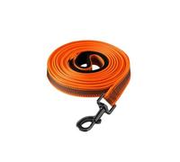 Ensemble de laisse réfléchissante pour chien en nylon - Longueur 1,2 m/5 m/10 m avec poignée rembourrée pour une promenade nocturne confortable - Idéal pour les chiens de petite, moyenne et grande