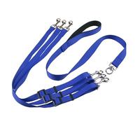Ensemble de laisse triple tête pour chien avec laisse réglable un à trois en nylon