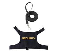 Ensemble de laisses de dragon barbu - Harnais de dragon barbu de 1,5 m | Harnais anti-fuite | Laisses de lézard confortables et réglables | Accessoires de costume de sécurité pour reptiles | Laisse de