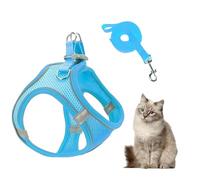 Ensemble de laisses pour chien - Gilet réfléchissant de 20 à 24 cm pour promener la nuit en toute sécurité, ajustement confortable avec fonction de prévention des fuites, harnais pour animal