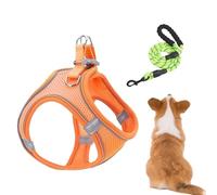 Ensemble de laisses pour chien - Gilet réfléchissant de 20 à 24 cm pour promener la nuit en toute sécurité, ajustement confortable avec fonction de prévention des fuites, harnais pour animal