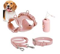 Ensemble de laisses pour Chiens, Ensemble de Harnais pour Chiens de Petite | Ensemble imperméable pour promenade de chien Co
