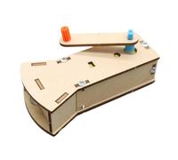 Ensemble de Lampe de Poche en Bois, générateur à manivelle, expérience Physique, Jouet éducatif pour pour l ' Apprentissage des Sciences, Ensemble de modèles de générateur en Bois