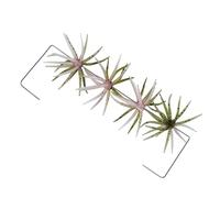 Ensemble de leurres de pêche-4 pièces, Plates-Formes d'appâts Souples à coulage Lent, appâts flottants réalistes, Kit de leurres de pêche Multi-articulés | Appât à Haute Action pour la pêche