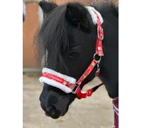 Ensemble de licol pour cheval avec imprimé de Noël, rouge, mini Shetland rouge (pony)