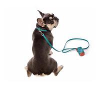 Ensemble de Luxe XSMALL pour Petits Chiens en Cuir Turquoise composé d'un Collier, d'une Laisse et d'un Porte-Sac, Produit en Italie