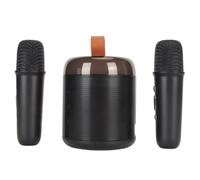 Ensemble de Machine de karaoké Portable, Haut-Parleur Bluetooth RVB avec 2 Microphones sans Fil pour Enfants Adultes, Support de Stockage 512G, Microphone Portable pour Fête (Noir)