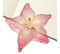 Ensemble De Marque-pages En Tranches De Fruits - Marque-pages Transparents En Acrylique 8-10 Cm | Marquee-pagess Colorés Mignons Pour Les Lecteurs Étudiants | Ensemble-cadeau Léger Et Durable De Marqu