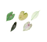 Ensemble de marque-pages PET, A