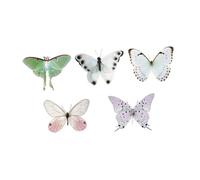 Ensemble de marque-pages PET, C