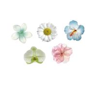 Ensemble de marque-pages PET, D