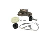 Ensemble de mécanisme de pompe à eau avec turbine à engrenages et couvercle de joint d'huile Compatible avec DT230 MT250(DT230 MT250)