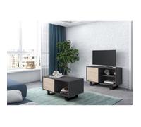 Ensemble de meubles WIND - SKRAUT HOME - Meuble TV100 et Table Basse - Gris/Chêne - pieds noirs