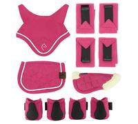 Ensemble de miini accessoires Equithème Pony Academy Rose TU