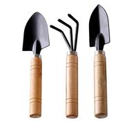 Ensemble de Mini Outils de Jardin 3 pièces avec Pelle, râteau et Pelle pour Plantes succulentes, bonsaï et semis, Soins du Sol, Mini Outils Jardin