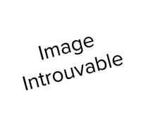 Ensemble De Mobilier De Jardin - Lifetime - Table Résine Pliante - 2 Bancs Pliants - 6 Personnes - Pliable Multicolore