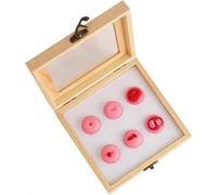 Ensemble de modèles de pathologie cervicale pour entraînement médical, anatomie de l'utérus et du col de l'utérus féminin, modèles multilésions avec boîte en bois pour l'éducation des patients
