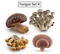 Ensemble De Modèles De Simulation De Champignons,Jouets Éducatifs Montessori Pour Enfants,Jeu D'enseignement Des Sciences - Type A