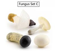 Ensemble De Modèles De Simulation De Champignons,Jouets Éducatifs Montessori Pour Enfants,Jeu D'enseignement Des Sciences - Type C
