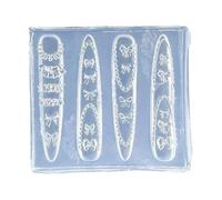 Ensemble De Moules À Ongles À Double Fleur Outils En Silicone Réutilisables Pour Créer Des Ongles Accessoires Charme Et Beauté Outils Décoratifs En Silicone