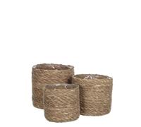 Ensemble de paniers à plantes Atlantic - MICA DECORATIONS - Jonc de mer - H16 x Ø16 cm