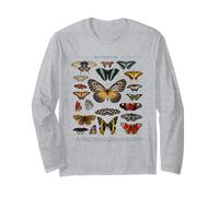 Ensemble de Papillons Entomologiste Science, Animal Manche Longue