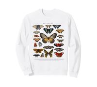 Ensemble de Papillons Entomologiste Science, Animal Sweatshirt