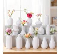 Ensemble de Petits vases en céramique Blanche, Mini vases à bourgeons en Vrac pour Fleurs et Herbes de la Pampa,centres de Table bohèmes pour fêtes/Mariages DIY/décoration de Table Basse (16, White)
