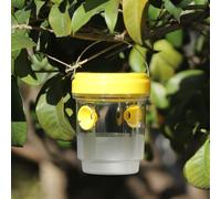 Ensemble de pièges à guêpes, piège à géants asiatiques, piège à guêpes Amovible et réutilisable Récupérateur d'eau d'extérieur réutilisable pour Jardin, Cour (Yellow, A)