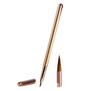 Ensemble de pinceaux de peinture chinoise en métal pour écriture régulière de paysages avec convertisseur d'encres, pointe remplaçable, stylo pinceau en métal