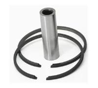 Ensemble de Pistons for débroussailleuse EH035, diamètre 39 mm, avec kit de Segments de Piston, adapté au Moteur EH35, pièces de Rechange