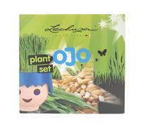 Ensemble De Plantes Pour Lechuza Ojo Bio-Graisse De Blé Accessoires De Plante