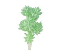 Ensemble de plantes succulentes artificielles en plastique pour décoration de maison, bureau, arrangement floral réaliste en PVC pour salon, bureau, table (herbe de neige fine)
