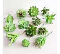 Ensemble de plantes succulentes artificielles en plastique pour décoration de maison, bureau, arrangement floral réaliste en PVC pour salon, bureau, table (Po Lotus)