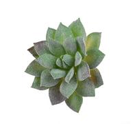 Ensemble de plantes succulentes artificielles en plastique pour décoration de maison, bureau, arrangement floral réaliste en PVC pour salon, bureau, table (lotus givré)