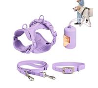 Ensemble de plomb de harnais de chien - Pas de collier de compagnie et de laisse combo, conception réglable étapé | Harnais de marche confortable avec porte-sacs de merde, idéal pour les chiens moyens