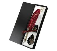 Ensemble de Plume à Écrire - Outil d'Écriture Ancien et Traditionnel | Styloscope Déco Maison - pour Débutants Écrivains Peintres Étudiants Enseignants Artistes Anniversaire Fêtes Journaling