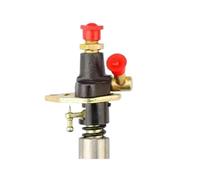 Ensemble de Pompe d'injection d'injecteur de Carburant adapté aux modèles 170F, 173F, 178F, 186F, 186FA, 188F et 192F(178F)