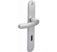 Ensemble de porte Budget BEZAULT entraxe 195 mm Clé L - Argent - 204856 Argent G