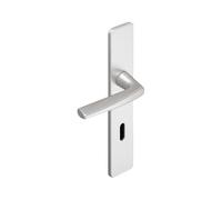 Ensemble de porte Riviera BEZAULT Entraxe 195 mm Argent - Bec de cane - 0072713
