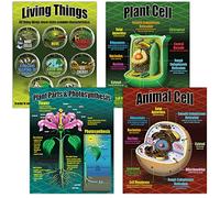 Ensemble de posters pédagogiques des sciences de