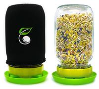 Ensemble de pots de germination avec pot de maçon, couvercle en maille en acier inoxydable, manchon occultant et bac en plastique pour la fabrication de germes de graines