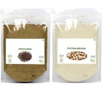 Ensemble de poudre de graines de Sivalingi et Putrajivak pour camping-car (100 g chacune), poudre de beej Putrajeevak et Shivlingi, Putrijivak, Putr Jivak, Shivalinga, Shivling