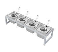 Ensemble de présentoirs à épices professionnels, distributeur de condiments et d'ingrédients pour assaisonnements, sauces, salades et confitures, idéal pour les buffets de cuisine (Argent-C, 65,5 x