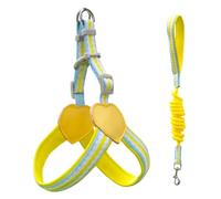 Ensemble de promenade pour animal de compagnie, harnais de poitrine pour chien avec panneaux doux au toucher, laisse extensible, fixation arrière, utilisation dans le quartier
