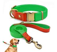 Ensemble de Promenade XL pour Très Grand Chien, Collier Nylon et Cuir, Kit Laisse et Collier Ultra-Résistant, Style Rétro Chic pour Molosses et Grands Chiens, Durable, Vert