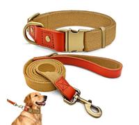Ensemble de Promenade XL pour Très Grand Chien, Collier Nylon et Cuir, Kit Laisse et Collier Ultra-Résistant, Style Rétro Chic pour Molosses et Grands Chiens, Durable, Khaki