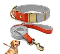 Ensemble de Promenade XL pour Très Grand Chien, Collier Nylon et Cuir, Kit Laisse et Collier Ultra-Résistant, Style Rétro Chic pour Molosses et Grands Chiens, Durable, Gris argenté