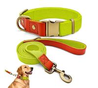 Ensemble de Promenade XL pour Très Grand Chien, Collier Nylon et Cuir, Kit Laisse et Collier Ultra-Résistant, Style Rétro Chic pour Molosses et Grands Chiens, Durable, Jaune